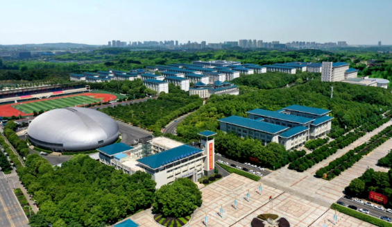 助力高档教育创新升维，瓦力游戏交付“满分答卷”